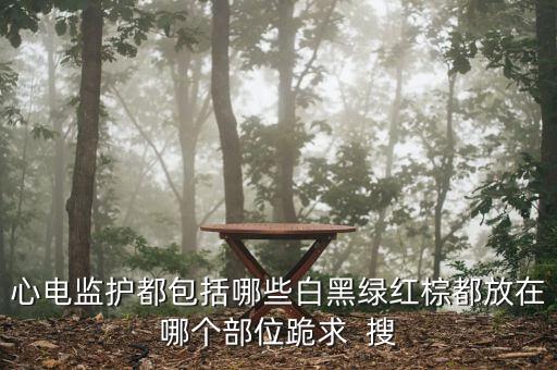 心電監(jiān)護都包括哪些白黑綠紅棕都放在哪個部位跪求  搜