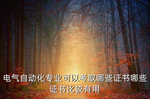 電氣自動(dòng)化專(zhuān)業(yè)可以考取哪些證書(shū)哪些證書(shū)比較有用