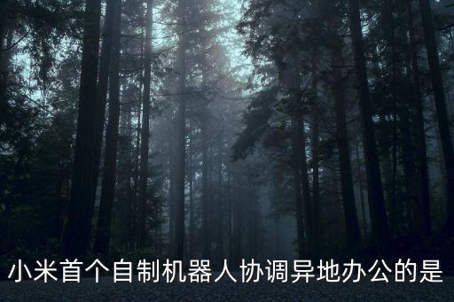 小米首個自制機器人協(xié)調(diào)異地辦公的是