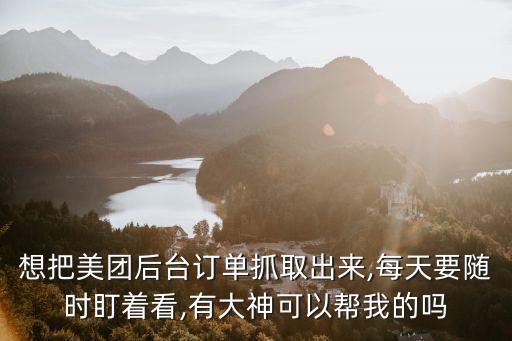 想把美團(tuán)后臺(tái)訂單抓取出來(lái),每天要隨時(shí)盯著看,有大神可以幫我的嗎