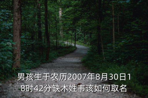 男孩生于農(nóng)歷2007年8月30日18時42分缺木姓韋該如何取名