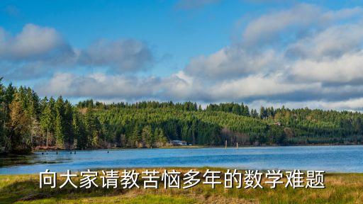 向大家請(qǐng)教苦惱多年的數(shù)學(xué)難題
