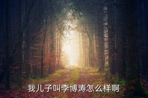 我兒子叫李博濤怎么樣啊