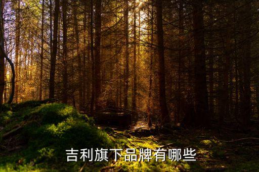  吉利旗下品牌有哪些
