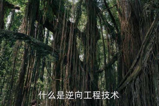 什么是逆向工程技術(shù)