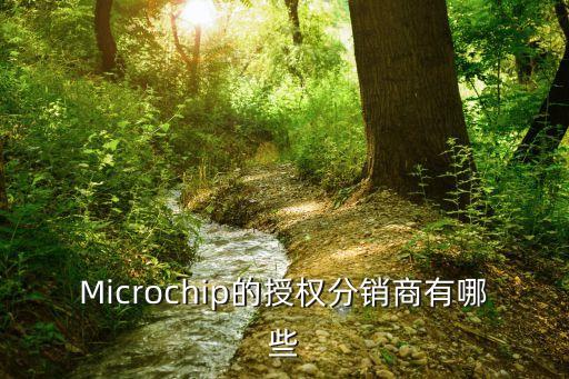 Microchip的授權(quán)分銷(xiāo)商有哪些