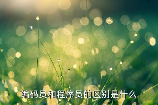 編碼員，編碼員和程序員的區(qū)別是什么