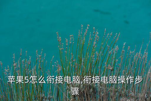 蘋果5怎么銜接電腦,銜接電腦操作步驟
