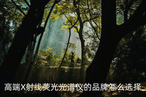 光譜儀選購，高端X射線熒光光譜儀的品牌怎么選擇