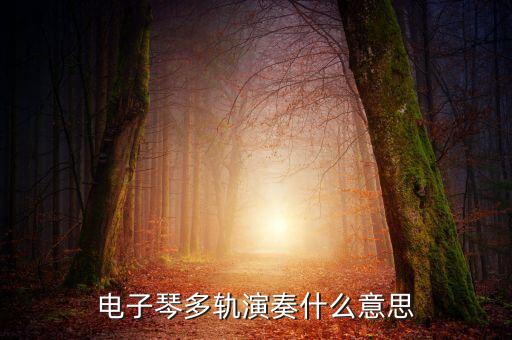電子琴多軌演奏什么意思