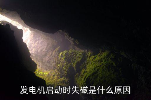 發(fā)電機(jī)啟動(dòng)時(shí)失磁是什么原因