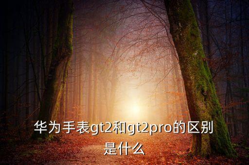 華為手表gt2和gt2pro的區(qū)別是什么