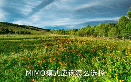 MIMO模式應(yīng)該怎么選擇