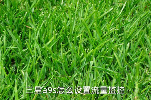 三星a9s怎么設(shè)置流量監(jiān)控