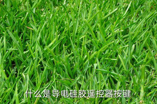 什么是導(dǎo)電硅膠遙控器按鍵