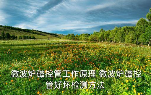  微波爐磁控管工作原理 微波爐磁控管好壞檢測方法