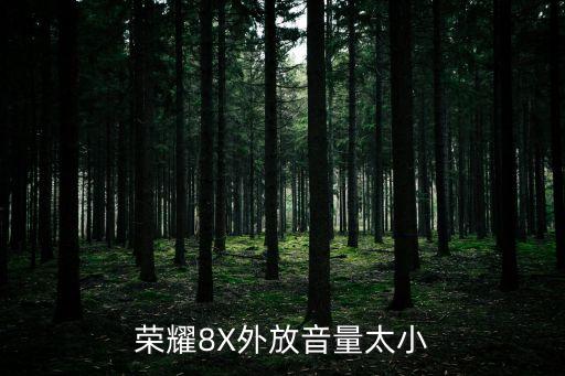 榮耀8X外放音量太小