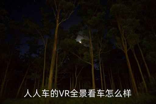 人人車的VR全景看車怎么樣