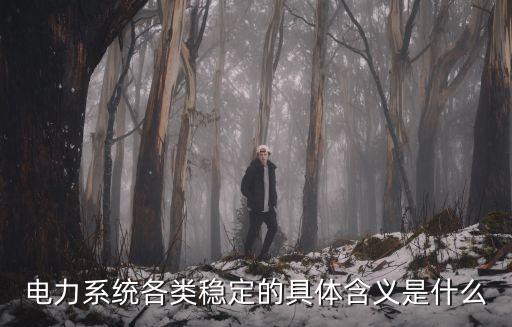 電力系統(tǒng)各類穩(wěn)定的具體含義是什么