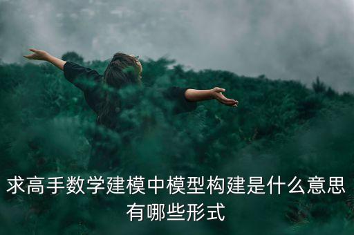 求高手數(shù)學建模中模型構(gòu)建是什么意思有哪些形式