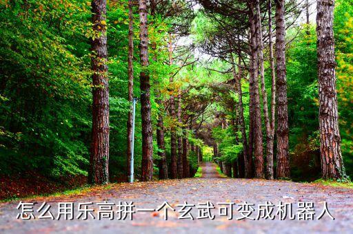 怎么用樂高拼一個玄武可變成機器人