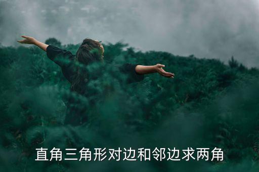 直角三角形對(duì)邊和鄰邊求兩角