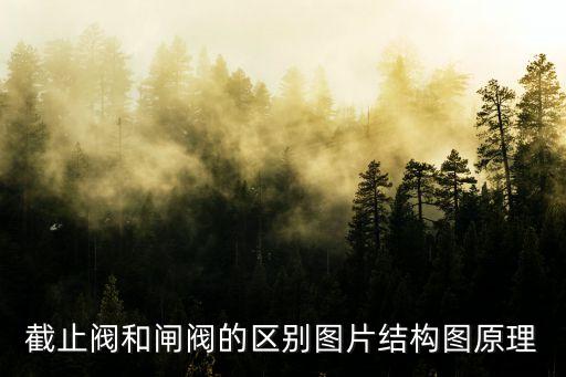 截止閥和閘閥的區(qū)別圖片結(jié)構(gòu)圖原理