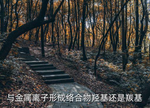 與金屬離子形成絡(luò)合物羥基還是羰基