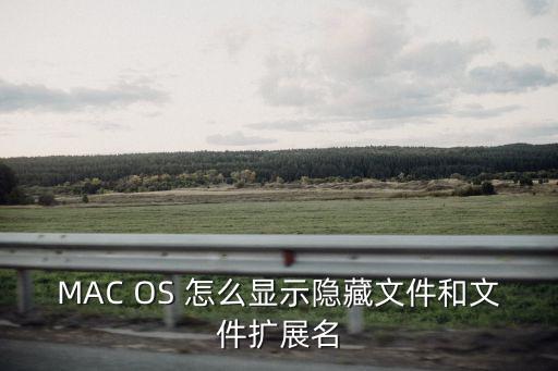 MAC OS 怎么顯示隱藏文件和文件擴展名