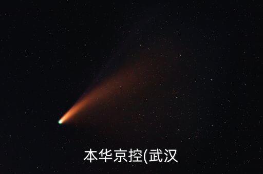 本華京控(武漢