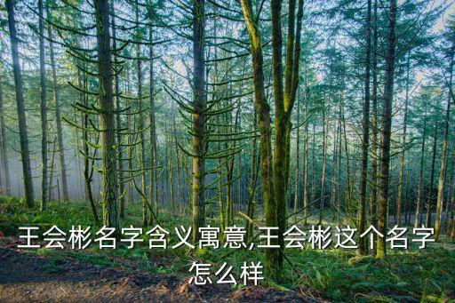 王小彬,王會(huì)彬名字含義是什么?