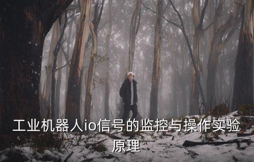 工業(yè)機器人io信號的監(jiān)控與操作實驗原理