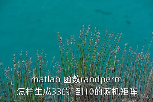 randperm，randomperm 在matlab里面是什么意