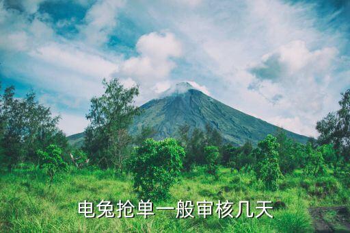 電兔搶單一般審核幾天