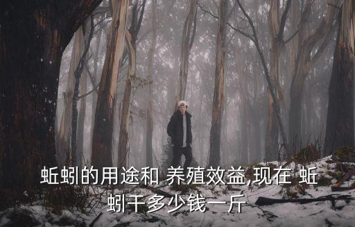  蚯蚓的用途和 養(yǎng)殖效益,現(xiàn)在 蚯蚓干多少錢一斤
