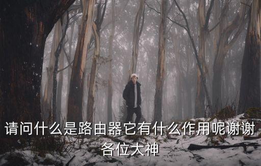 路由器作用，請(qǐng)問(wèn)什么是路由器它有什么作用呢謝謝各位大神