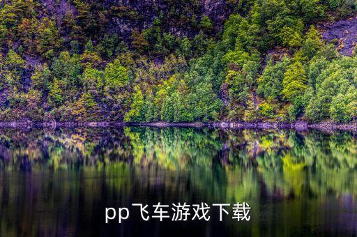 PP飛槳，求助 PP RAFFIA 到底是什么東西