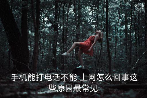  手機能打電話不能 上網怎么回事這些原因最常見