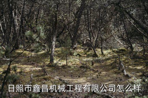 連云港自動化機(jī)床設(shè)備哪家便宜
