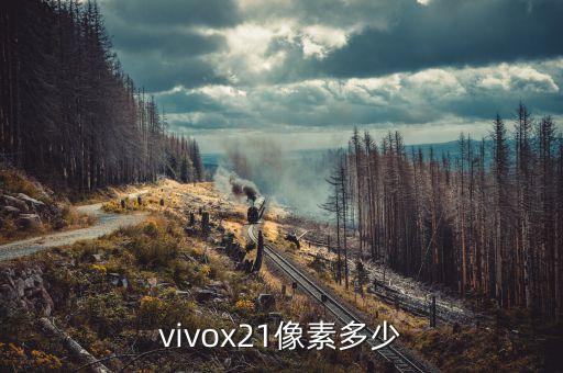 vivox21像素多少