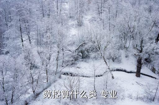  數(shù)控算什么類 專業(yè)
