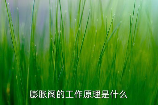 膨脹閥的工作原理是什么