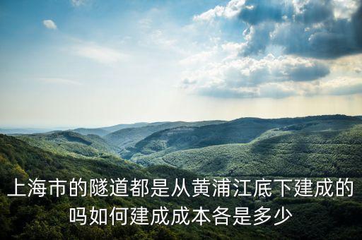 上海市的隧道都是從黃浦江底下建成的嗎如何建成成本各是多少
