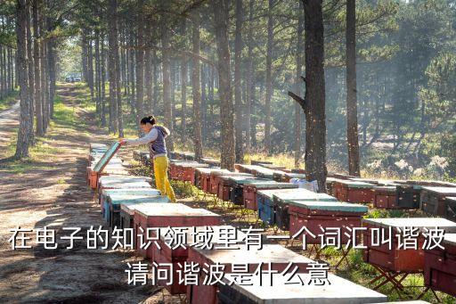 在電子的知識領(lǐng)域里有一個詞匯叫諧波請問諧波是什么意