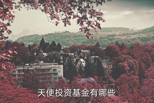 天使投資基金有哪些