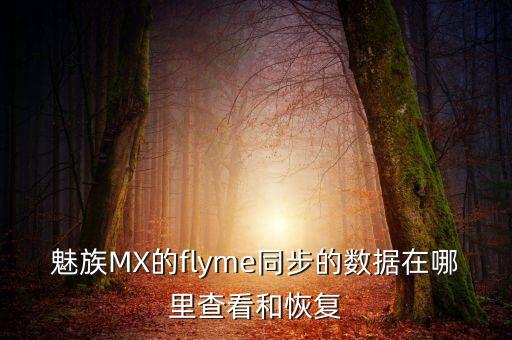 魅族MX的flyme同步的數(shù)據(jù)在哪里查看和恢復(fù)