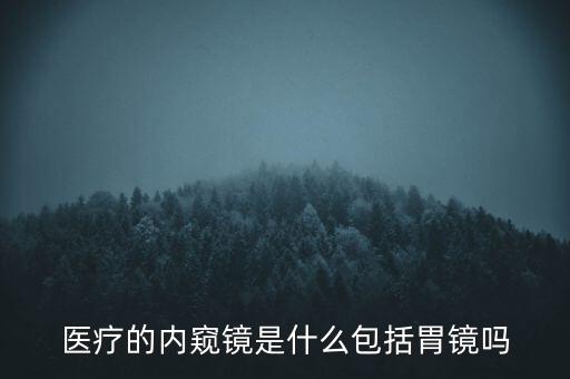 醫(yī)療的內(nèi)窺鏡是什么包括胃鏡嗎