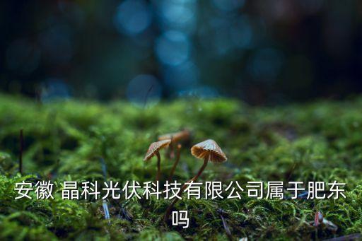 安徽 晶科光伏科技有限公司屬于肥東嗎