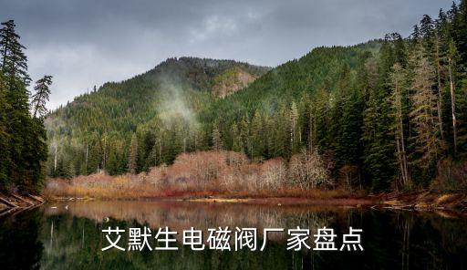 艾默生工業(yè)自動化有限公司,中國自動化設備大公司有哪些?