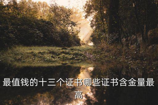 最值錢(qián)的十三個(gè)證書(shū)哪些證書(shū)含金量最高
